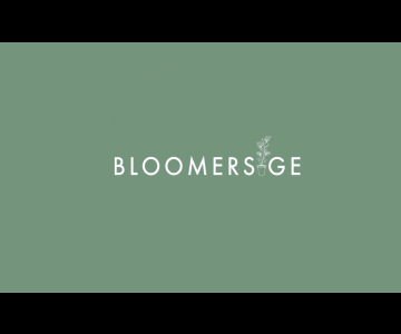 bloomers.ge